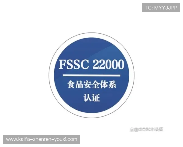 凯发网旗舰厅平台安全性分析,保障每一位玩家的资金与信息安全 凯发网旗舰厅平台安全性分析,保障每一位玩家的资金与信息安全